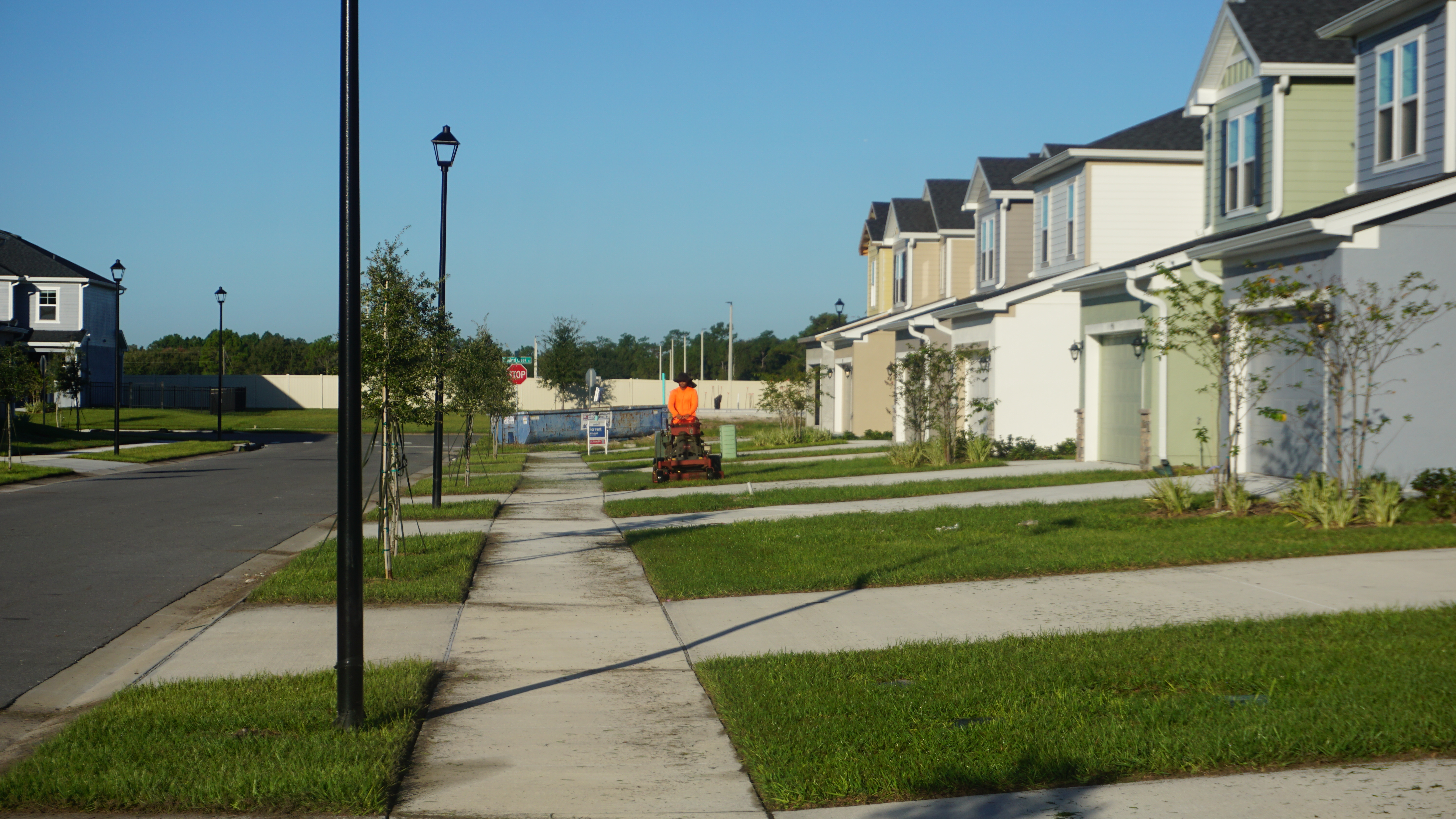 Professional Service