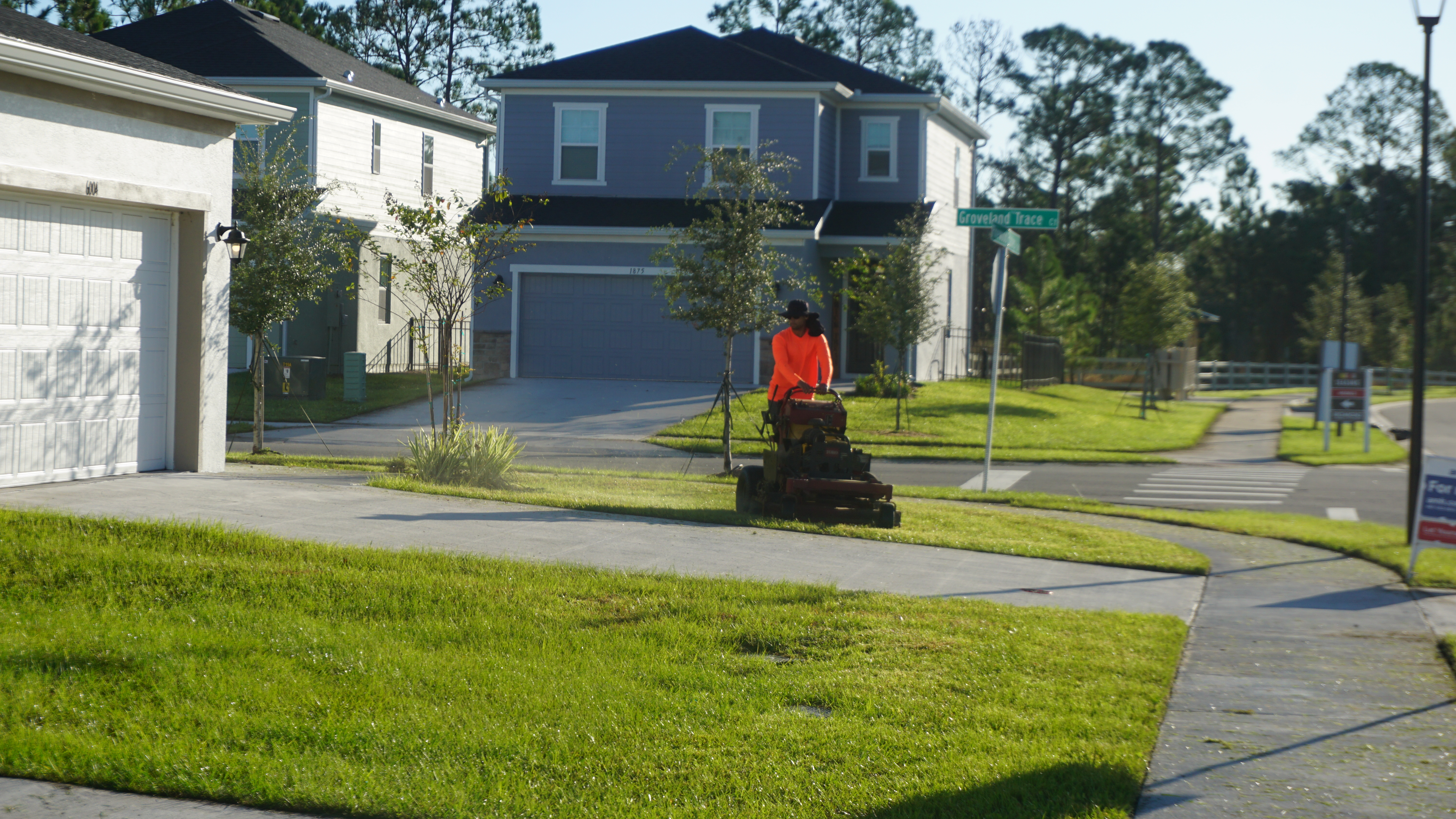 Expert Team in Action